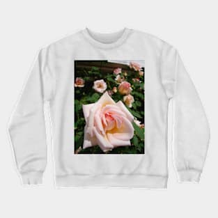 Rose Flower Blush Pink Vintage Crewneck Sweatshirt